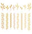 ripe ears of cereal plants vector image