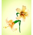 elegant flower vector image