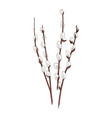 hand drawn willow branch symbol happy easter vector image