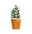 flower icon logo in pot nature spring plant vector image vector image