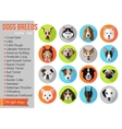 set of flat popular breeds of dogs icons vector image