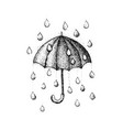 dotwork umbrella rain vector image vector image