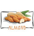 simple of nuts almonds vector image