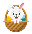 cute white rabbit cartoon in the basket vector image vector image