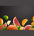 citrus realistic background vector image vector image