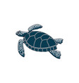 Sea turtle Royalty Free Vector Image - VectorStock