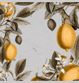 blank lemon tree background vector image