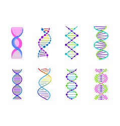 dna molecule sign set genetic elements and icons vector image