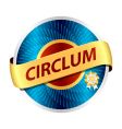 graphic design element vector image vector image